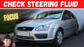 Ford Focus Mk2 How To Check Power Steering Fluid Level [upl. by Garik462]