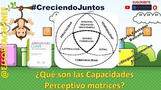 Capacidades Perceptivo motrices ELFORTACHONEF  Muy importante para todos los Docentes [upl. by Esekram421]