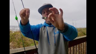 Best REDFISH Rig and Techniques For Using LIVE BAIT [upl. by Eatnoed]