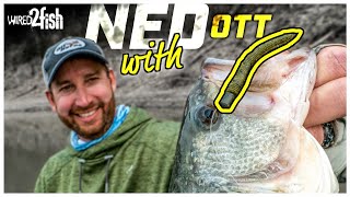 MASTER Ned Rig Fishing with Ott DeFoe [upl. by Darbee]