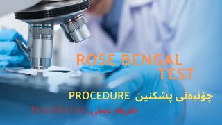 Brucella Antigen TestProcedureطریقەعملی عمی المالطیە چۆنیەتی پشکنینی حەمەی مالتە [upl. by Leiahtan]