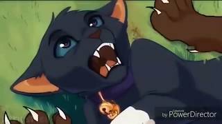 Story of Scourge Song  the Devil within warrior cats [upl. by Weig681]