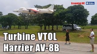 AMAZING Gas Turbine powered RC Harrier AV8B VTOL JET Skymaster Jets [upl. by Ahteral]