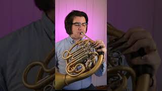 How to hold a French horn [upl. by Schonthal]