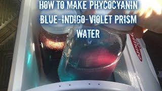 How to Make Phycocyanin BlueIndigoViolet prism water [upl. by Musser]