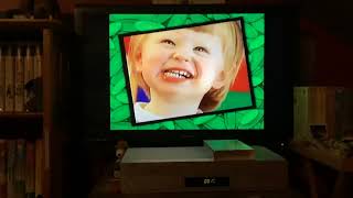 Opening To Kipper The Dog Puppy Love 2005 VHS [upl. by Stoecker157]