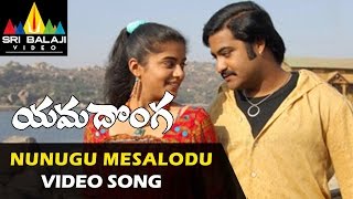 Yamadonga Video Songs  Nunugu Misalodua Video Song  JrNTR Priyamani  Sri Balaji Video [upl. by Elayor448]