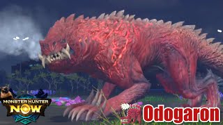 ODOGARON FIRST LOOK Weapons Armor Gameplay  MONSTER HUNTER NOW [upl. by Giah]