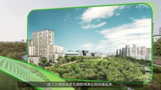 Remaking Our Heartland Woodlands English Voiceover Mandarin Subtitles [upl. by Nivk]