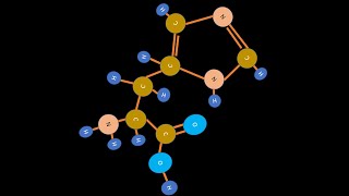 ¿Qué es la Histidina  El ABC de la Biología [upl. by Thibaud]