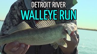 Postspawn Walleye Fishing on the Detroit River [upl. by Agnes]