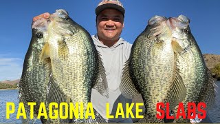 how to catch crappie  Patagonia lake Southern Arizona [upl. by Zetroc42]