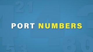 Port Numbers Explained  Cisco CCNA 200301 [upl. by Rosenkranz903]