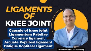 LIGAMENTS OF KNEE JOINT  Part 1 [upl. by Uyr837]