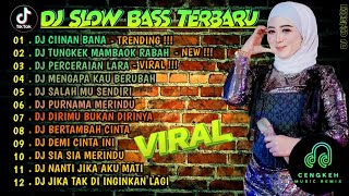 DJ SLOW FULL BASS TERBARU 2024 🌾DJ CIINAN BANA • DJ TUNGKEK MAMBAOK RABAH • VIRAL [upl. by Giovanna]