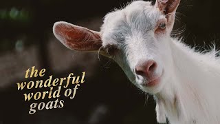 GOAT Full Movie Tamil  Vijay  Tamil  Hindi  The Greatest Of All Time latest movie goat download [upl. by Benedicto]