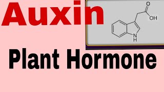 Plants HormoneAuxin HormoneFor TGTPGTNEETBScMScClass 12th and10th and other exam [upl. by Florio626]