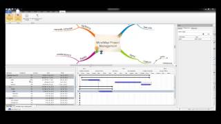 iMindMap 6  Project View [upl. by Doughty173]