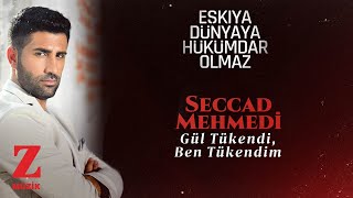 Seccad Mehmedi  Gül Tükendi Ben Tükendim  EDHO Dizi Müziği © 2020 Z Müzik [upl. by Paloma]