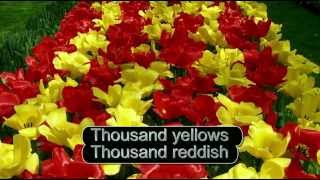 Tulips from Amsterdam English karaoke version [upl. by Bael199]