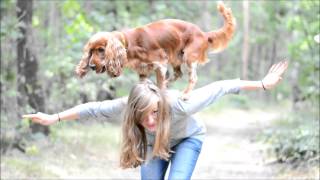 Amazing cocker spaniel Scooby  tricks amp agility [upl. by Weinshienk]