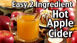 Easy 2 Ingredient Hot Apple Cider [upl. by Vacuva]