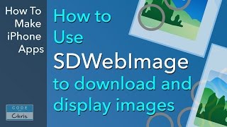 SDWebImage Tutorial  Display images from a URL [upl. by Esenwahs]