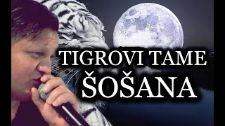 TIGROVI TAME  ŠOŠANA UŽIVO [upl. by Kiryt333]