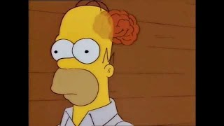 The Simpsons Homers Brain Compilation [upl. by Lekim]