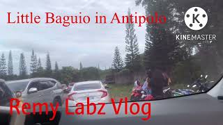 Little Baguio in Antipolo Rizal  pine trees all around  remy labz vlog [upl. by Yema]