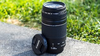 5 Reasons Why You SHOULD Consider The Canon 75300mm Lens [upl. by Glanville]