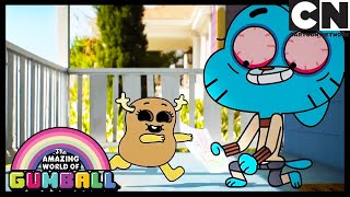 The Worlds Worst Baby Sitters  The Mess  Gumball  Cartoon Network [upl. by Miksen659]