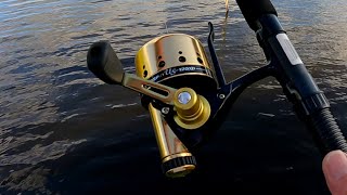 Daiwa Underspin closed face spinning reel [upl. by Balling]