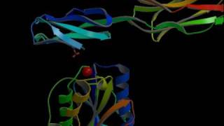 ICAMIntegrin inhibitors Rate My Science [upl. by Enovahs824]