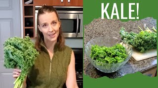 HOW TO PREPARE RAW KALE New to kale Learn how to eat kale from a registered dietitian [upl. by Neellek]