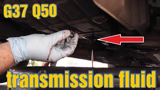 How to Change Transmission Fluid Service for Infiniti G37 Q50 Q60 [upl. by Alehtse]