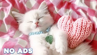 12 Hours Of Anti Anxiety Music For Cats 🐈 Stress Relief Music For Cats ♬ Calming Music For Cats 33 [upl. by Haziza]