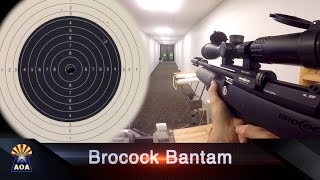 Brocock Bantam Airgun Review [upl. by Paulette]