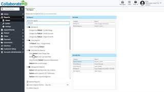 How to View and Run Reports [upl. by Neemsay]