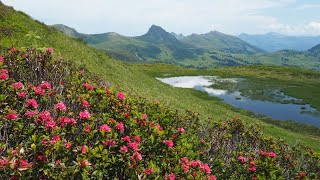 Bregenzerwald Wanderung Zwei Gipfel und ein See  Portlerhorn Sünserspitze und Sünsersee Damüls [upl. by Eimmaj]