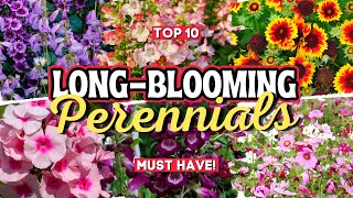 10 Long Blooming Perennial Flowers Add Vibrant Colors to Your Garden All Season Long 👌🌻💚 [upl. by Meggie]