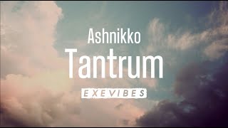 Ashnikko  Tantrum Lyrics [upl. by Geordie509]