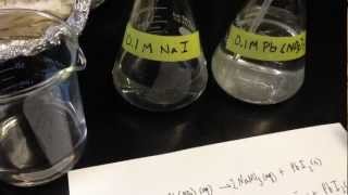 Net Ionic Equations Precipitation Reactions a demonstration [upl. by Ateiram]