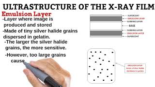 8 Layers of the XRay Film RADIOGRAPHIC IMAGING [upl. by Gabe]