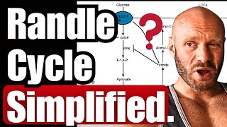 Randle Cycle in Laymans Terms [upl. by Yrrol]