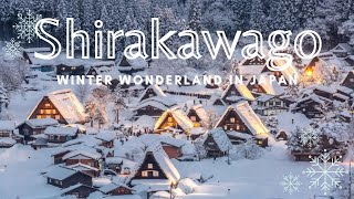 Japans Winter Wonderland Shirakawago Cultural Village  Japan Travel [upl. by Damalis]