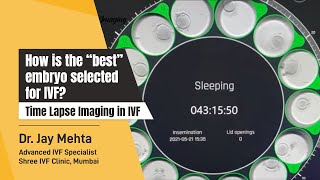 How is the “BEST” embryo selected for IVF  Time Lapse Imaging in IVF  Dr Jay Mehta  Shree IVF [upl. by Allecnirp]