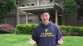 UC Davis School of Veterinary Medicine Virtual Tour [upl. by Nnalyrehs]