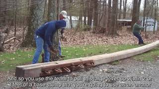 Stump Puller Demo amp Explanation [upl. by Tommie]