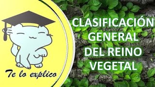 CLASIFICACIÓN GENERAL DEL REINO VEGETAL [upl. by Nibbor]